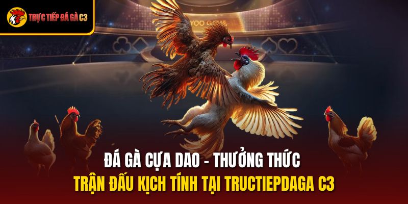 Đá Gà Cựa Dao – Thưởng Thức Trận Đấu Kịch Tính Tại Tructiepdaga C3