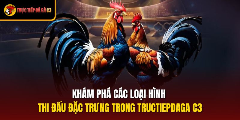 đá gà trực tiếp c3