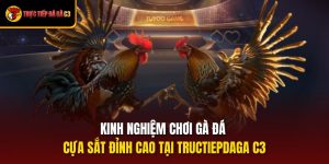 Kinh Nghiệm Chơi Gà Đá Cựa Sắt Đỉnh Cao Tại Tructiepdaga C3