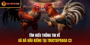 Tìm Hiểu Thông Tin Về Gà Đá Hầu Kiềng Tại Tructiepdaga C3