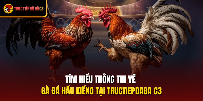 Tìm Hiểu Thông Tin Về Gà Đá Hầu Kiềng Tại Tructiepdaga C3