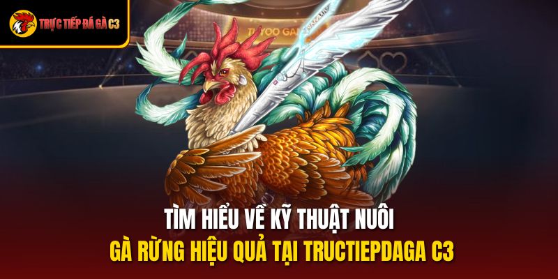 Tìm Hiểu Về Kỹ Thuật Nuôi Gà Rừng Hiệu Quả Tại Tructiepdaga C3